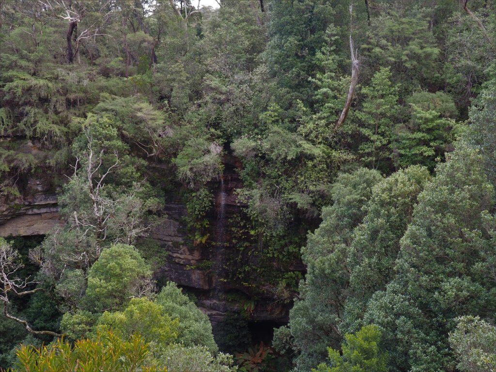 Witches Leap in Katoomba is a small waterfall, it needs a good rainfall