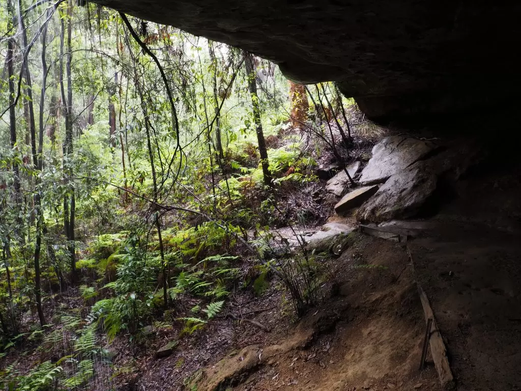 Cave along the Birdwood Gully track in Springwood. Water can be seen running in a small fall from the top on the left of the image.