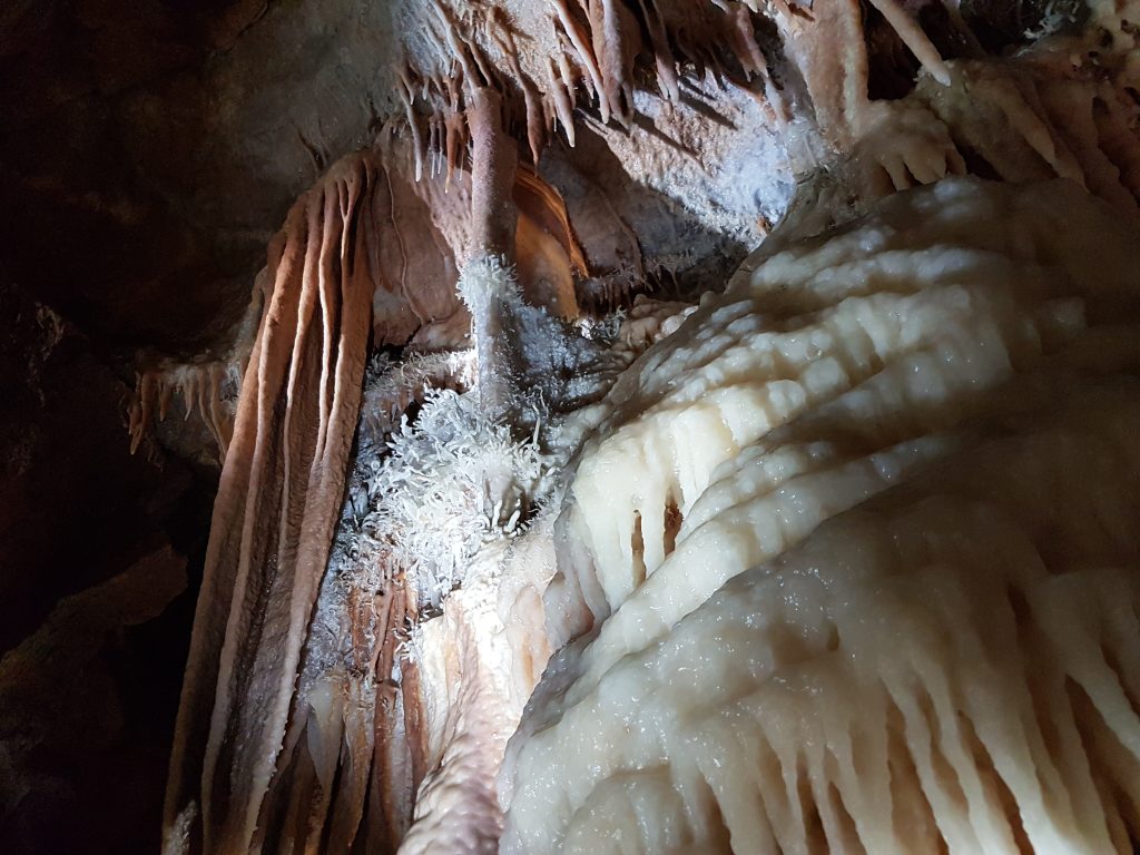 Image of mineral deposits in the Temple of Baal cave at Jenolan Caves in the Blue Mountains. It includes a shawl formation and Helictites