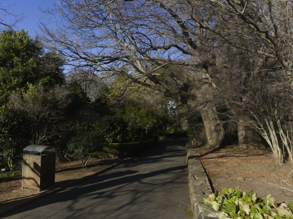 The start of the Lady Fairfax walk at Mount Tomah in Winter