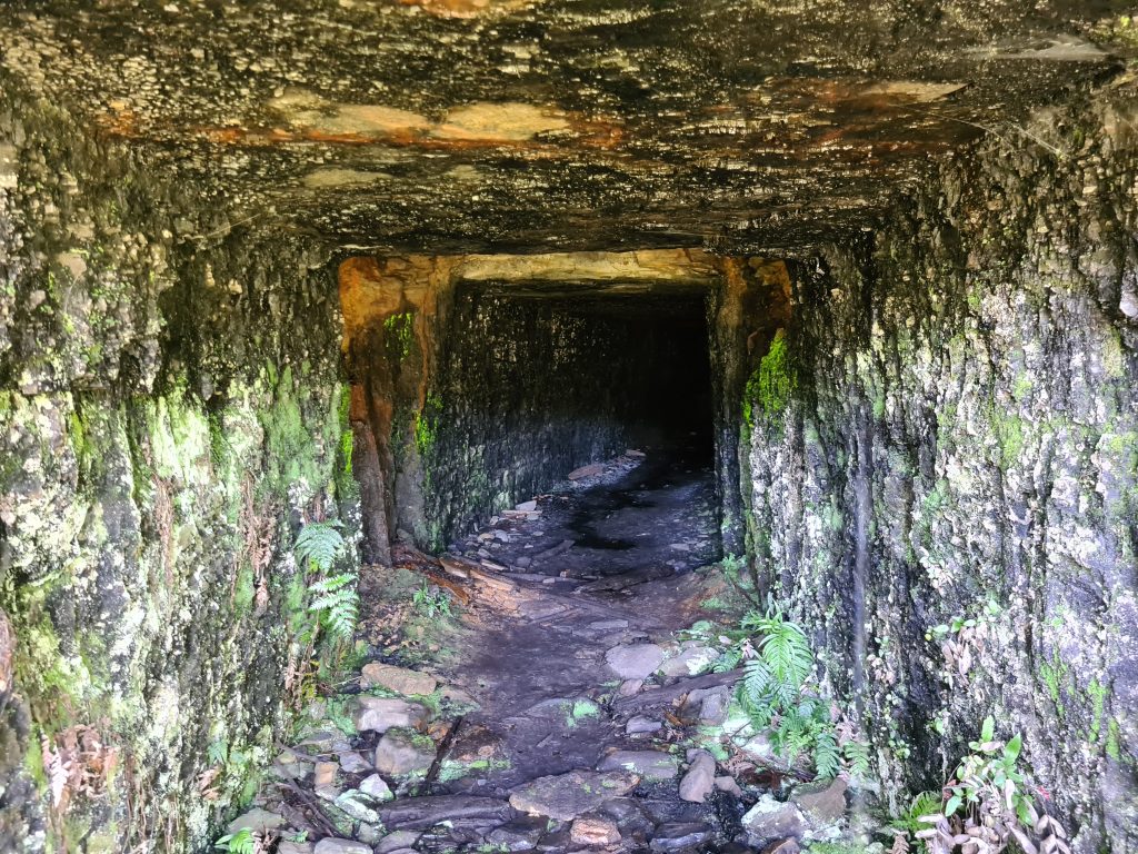 Looking deeper into the Mackenzie Mine from an alcove a short distance in. The tunnel can be seen bending slightly to the right and there is green moss on the walls. 