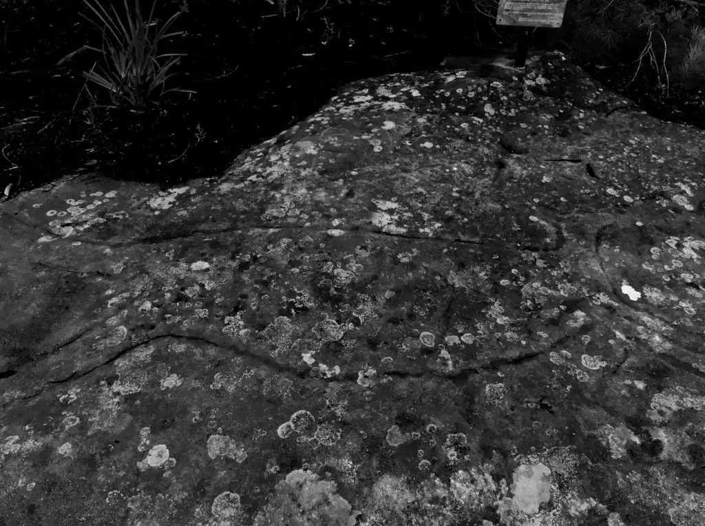 Edited image of Kangaroo rock carving at Lawson to bring up the contrast of carving against the rock