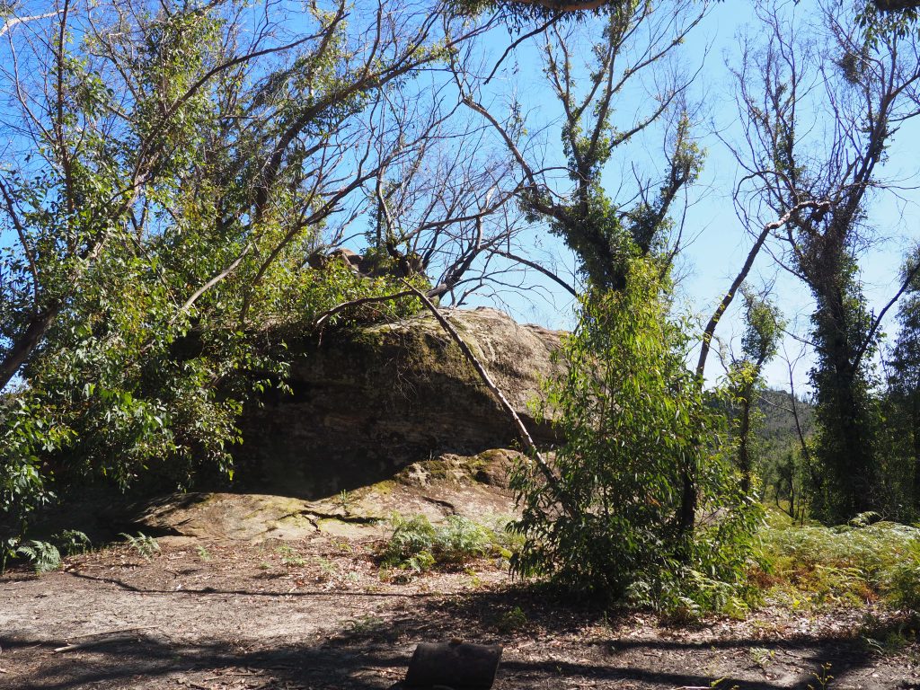 Closer image of Pagoda Rock on the Asgard Swamp Fire Trail