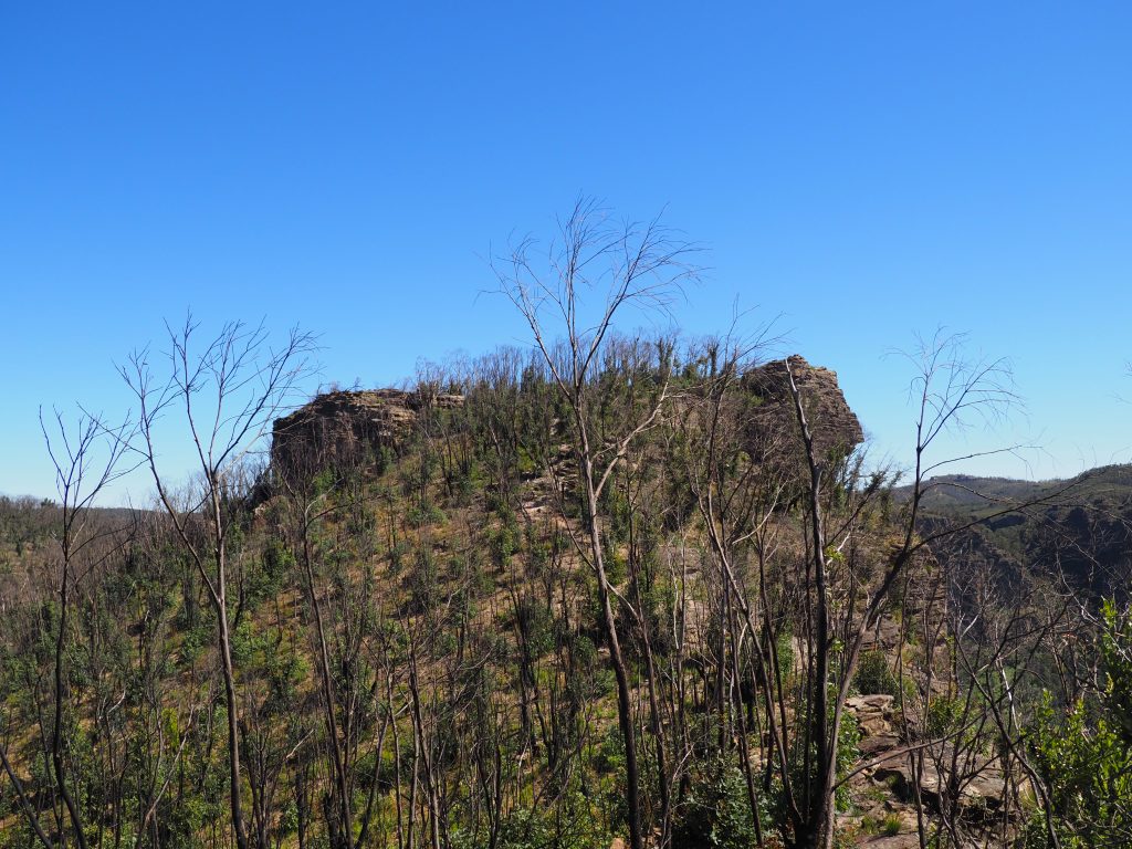 Thor Head, a rocky outcrop providing unobstructed views of the Grose Valley and Asgard Swamp