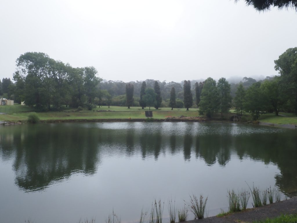 Image of the Lake at The Gully Aboriginal Place in Katoomba, with The Gully walk stretching around and behind on a path through bushland