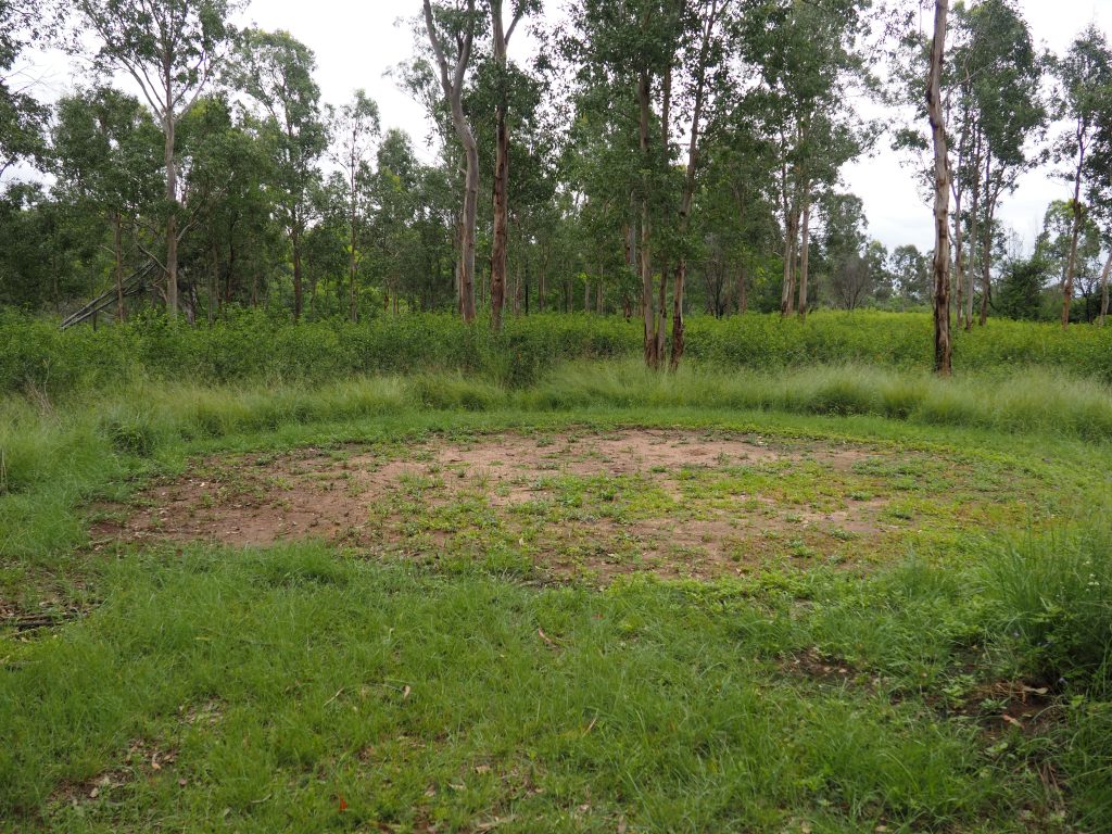 Large circular clearing at Shaws Creek Aboriginal Place which is likely used for Aboriginal gatherings