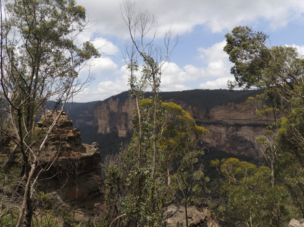 Image of cliffs and bushland on the descent into the Grand Canyon Blue Mountains