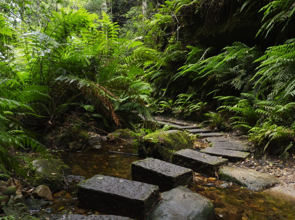 Stone steps across Greaves Creek in the Grand Canyon Blue Mountains