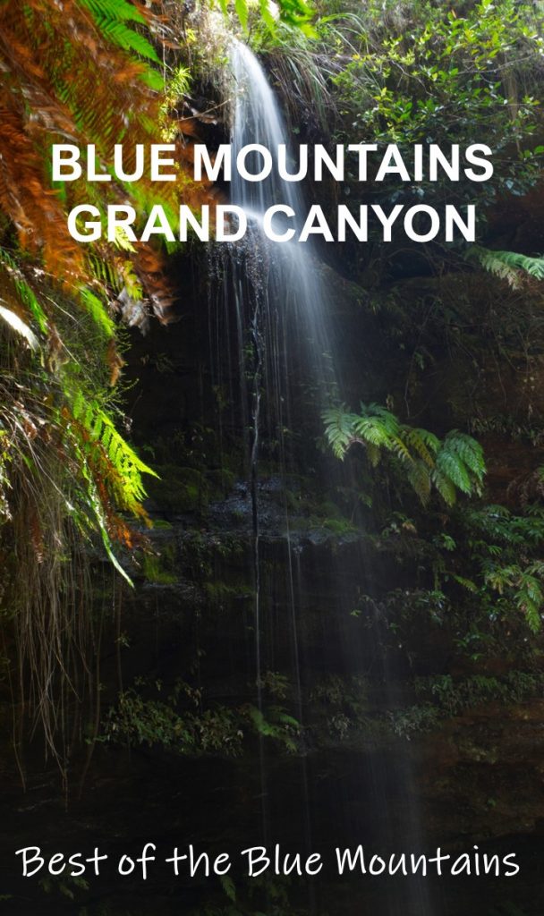 As one of the most popular walks in the Blue Mountains, the Grand Canyon in Blackheath almost has to be seen to be believed. 