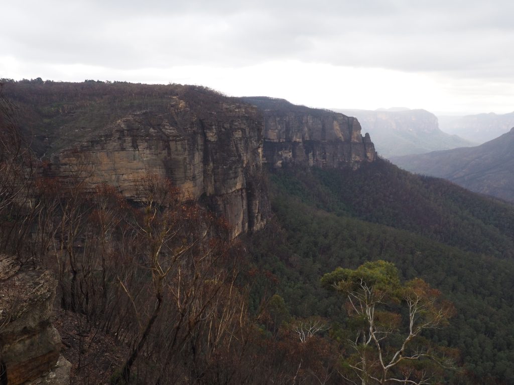 Cliff face at Govetts Leap in Blackheath where the Grose Valley Fire roared up the cliff