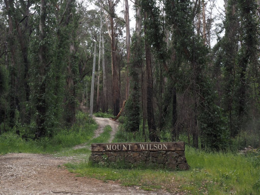 Colour image of the stone monument marking the town of Mount Wilson, with regrowth behind