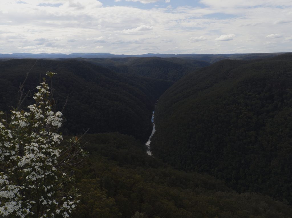 Looking down over the Grose Valley from Faulconbridge Point, through which the Grose River can be seen flowing through