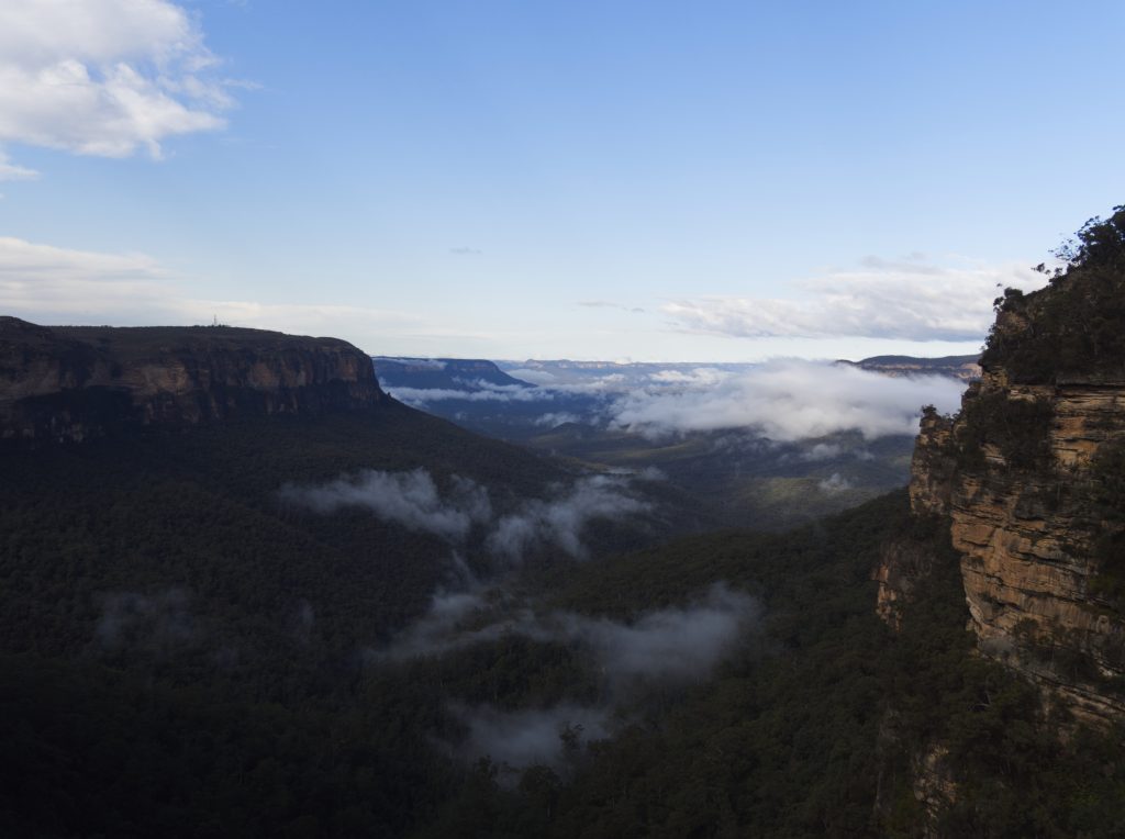 Clouds sitting in the Jamison Valley as seen from Queen Victoria lookout in Wentworth Falls