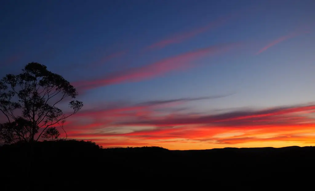 Image of a sillhouette of a gum tree against a sunset sky of pinks, yellows and orange. Taken from Martins Lookout in Springwood, Blue Mountains