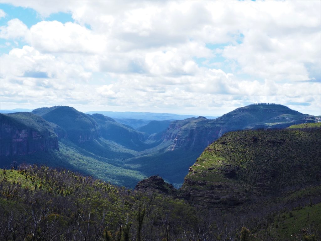 View of the ridges and valleys from Lockleys Pylon in the Blue Mountains