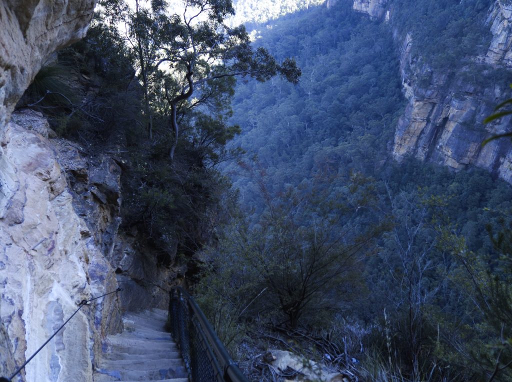 Photo looks down into the Jamison Valley as the stairs cut into the cliff face descend into the valley below