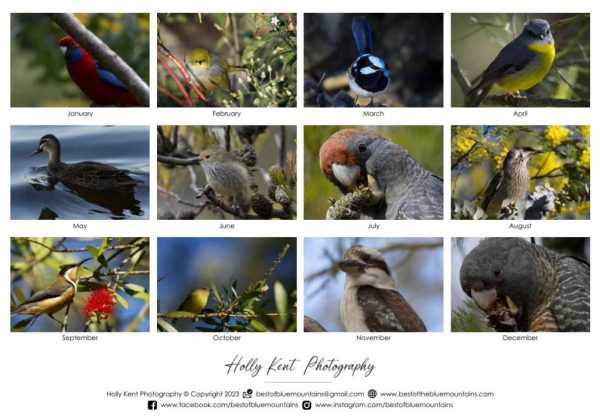 Image of all 12 photos featured in the Best of Blue Mountains Birds 2024 calendar